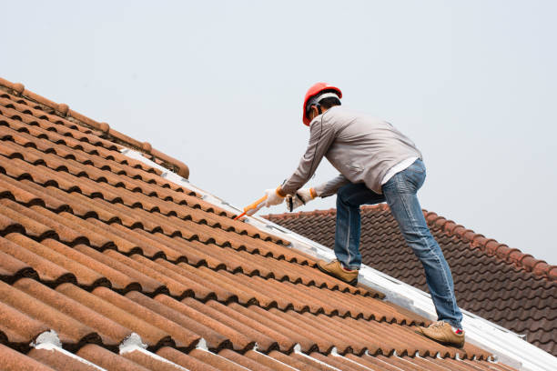 Best Rubber Roofing (EPDM, TPO)  in Grand Meadow, MN