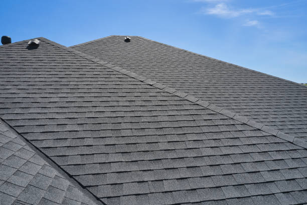  Grand Meadow, MN Roofing services Pros